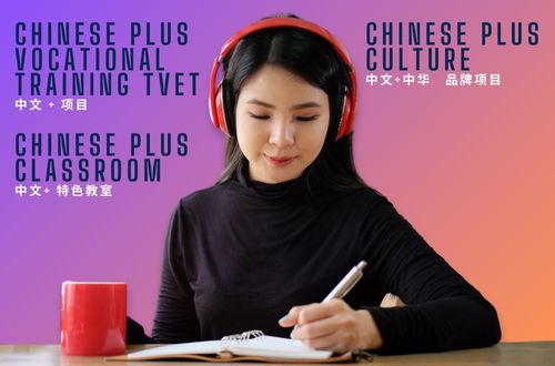 Chinese + TVET